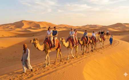 Camel Ride Experience